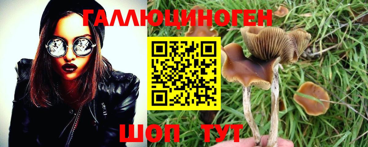 Псилоцибиновые грибы Psilocybe  Псилоцибиновые грибы MAGIC MUSHROOMS  Вход с VPN  Наро-Фоминск 